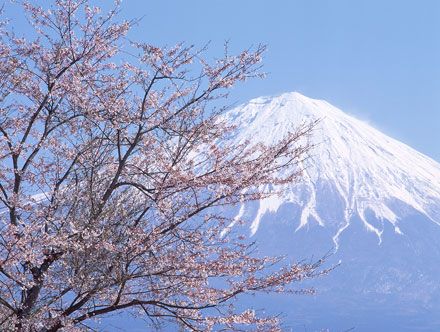 静岡県|正社員求人の特徴・転職活動の「よくある質問」