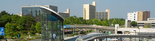 茨城はどのような仕事・産業が盛ん?どのような求人が多い?