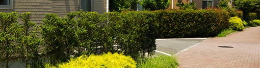造園の仕事をするには?