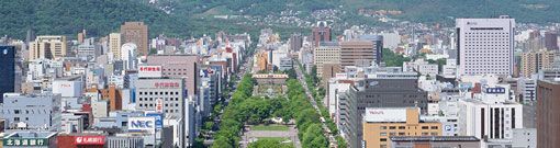 北海道や札幌市・函館市・旭川市に多い業種や職種