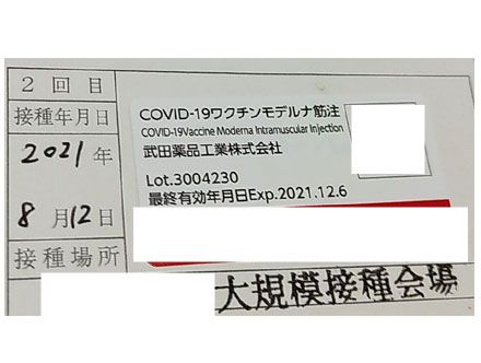 モデルナ2回目の副反応・体験談【ワクチン接種後の発熱・仕事は?】