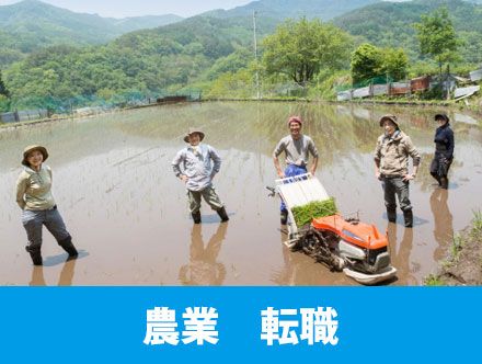 農業へ転職！主な仕事内容や未経験でも失敗しないコツをご紹介