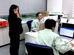 株式会社アートフォースジャパン 株式会社アートフォースジャパン
