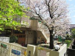 社会福祉法人 巨玉会 野方さくら保育園 社会福祉法人 巨玉会 野方さくら保育園