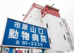 市原・山口動物病院 市原・山口動物病院