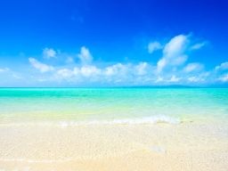 アプリリゾート ―Apptli Resort― アプリリゾート ―Apptli Resort―