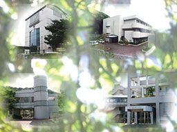 社会福祉法人 横須賀市社会福祉事業団 社会福祉法人 横須賀市社会福祉事業団