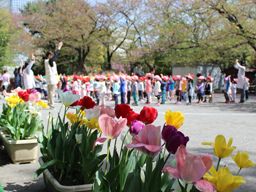 学校法人 明徳幼稚園 学校法人 明徳幼稚園