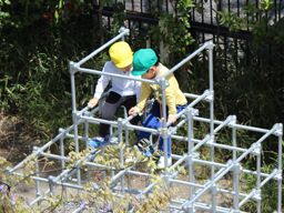 学校法人 明徳幼稚園 学校法人 明徳幼稚園