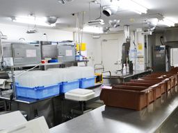 西洋フード・コンパスグループ株式会社 放射線医学総合研究所内社員食堂 西洋フード・コンパスグループ株式会社 放射線医学総合研究所内社員食堂