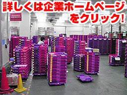 株式会社 アイバルス 株式会社 アイバルス