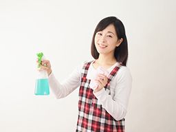 ザ・クリーン ザ・クリーン