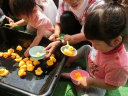 いづみ愛児園 いづみ愛児園