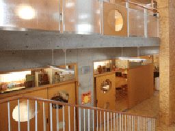 八王子実践幼稚園 八王子実践幼稚園