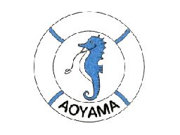 医療法人社団 青い海 青山内科クリニック 医療法人社団 青い海 青山内科クリニック