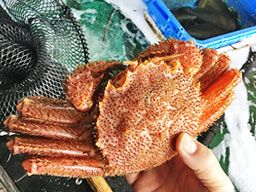 海鮮・活魚料理 美加和 海鮮・活魚料理 美加和