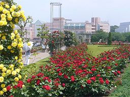 西武造園株式会社 ヴェルニー公園 西武造園株式会社 ヴェルニー公園