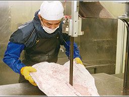株式会社 カネセイ水産 株式会社 カネセイ水産