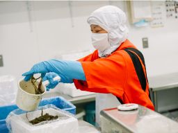 角上魚類ホールディングス株式会社 角上魚類ホールディングス株式会社