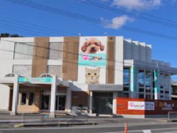 京都府京都市 ペットショップ 動物病院 トリマーのバイト アルバイト パート求人情報 クリエイトバイト