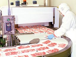 タイヘイ 株式会社 フード事業部 松戸工場 タイヘイ 株式会社 フード事業部 松戸工場