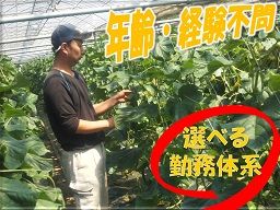 藤沼農園 藤沼農園