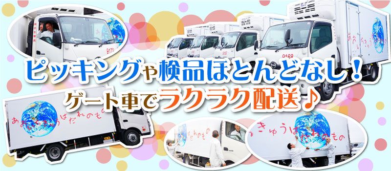 株式会社 共生物流 海老名営業所 株式会社 共生物流 海老名営業所