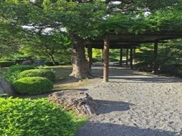 尾崎園 尾崎園