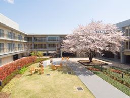 三井住友海上ケアネット株式会社 世田谷事業部 ゆうらいふ世田谷 三井住友海上ケアネット株式会社 世田谷事業部 ゆうらいふ世田谷