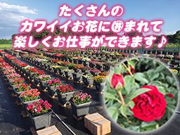 髙松商事 株式会社 髙松商事 株式会社