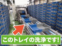 株式会社 デイリートランスポート 米飯船橋共配センター 株式会社 デイリートランスポート 米飯船橋共配センター