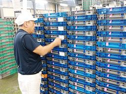 株式会社 デイリートランスポート 米飯船橋共配センター 株式会社 デイリートランスポート 米飯船橋共配センター