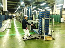 株式会社 デイリートランスポート 米飯船橋共配センター 株式会社 デイリートランスポート 米飯船橋共配センター