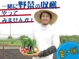 JTFファーム株式会社 JTFファーム株式会社