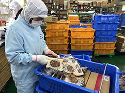 フリーデン厚木物流センター フリーデン厚木物流センター