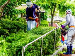 秋吉造園 秋吉造園
