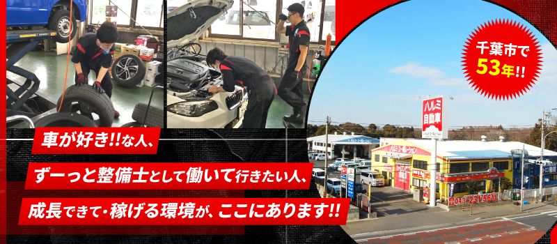 株式会社ハルミ・コーポレーション 株式会社ハルミ・コーポレーション