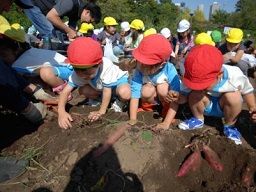 認可保育所 すいとぴー保育園(横浜市中区) 認可保育所 すいとぴー保育園(横浜市中区)