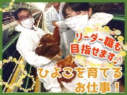 株式会社 肥後ポートリー 株式会社 肥後ポートリー