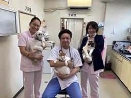 向平動物病院 動物看護師 未経験歓迎 経験者優遇 女性活躍中の転職 求人情報 キャリアインデックス