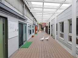 社会福祉法人 聖愛学舎 もみの木保育園 社会福祉法人 聖愛学舎 もみの木保育園