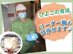 株式会社 肥後ポートリー 株式会社 肥後ポートリー