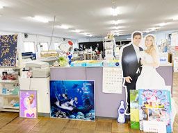 有限会社 セピア企画 有限会社 セピア企画