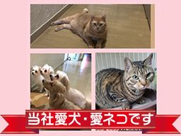 株式会社 花嶋起業 株式会社 花嶋起業