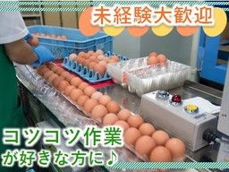 熊本市南区 1日 単発のバイト アルバイト パート求人情報 クリエイトバイト