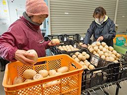 茨城県潮来市 短期のバイト アルバイト パート求人情報 クリエイトバイト