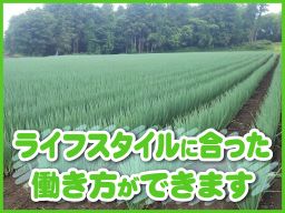 藤田農園 藤田農園