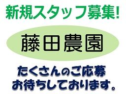 藤田農園 藤田農園