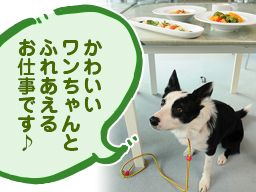 すいらんグリーンパーク すいらんグリーンパーク