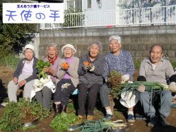 有限会社天使の手 有限会社天使の手